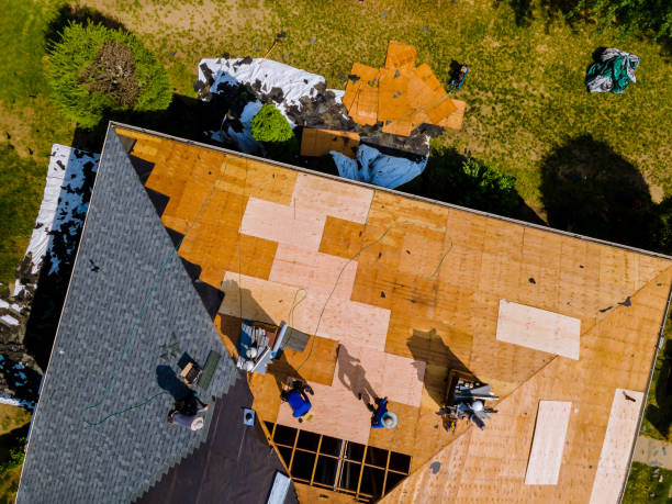 Best Roof Repair Services  in Denton, NC