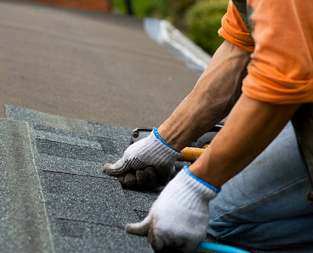 Best Metal Roofing Contractor  in Denton, NC