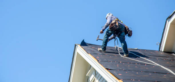 Best Roof Maintenance Services  in Denton, NC